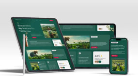 Portfolio Image