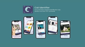 Cat Identifier Portfolio Image