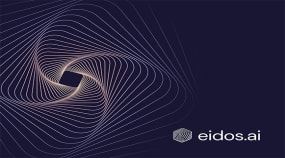 Eidos Portfolio Image