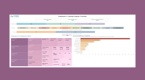 Tracking and Analytics Portal for Testing & Inspection Firm Portfolio Image