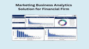 Marketing Business Analytics Solution for Financial Firm Portfolio Image