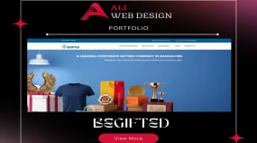 Portfolio Image