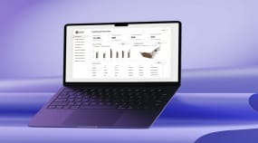 WMS and Freight ERP Integration Portfolio Image