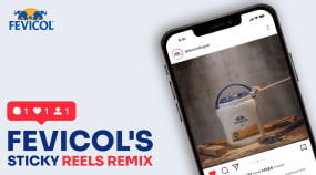 Instagram Reels Campaign for Fevicol Portfolio Image