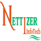 Nettizer Infotech logo