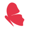 Ray Creations India logo