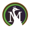 Moreweb Solutions logo