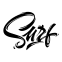 Surf logo