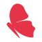 Ray Creations India logo