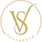 VS Technosys logo