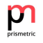 Prismetric Technology Pvt Ltd logo