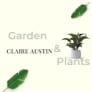 Claire Austin Hardy Plants