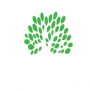TreeNewal TreeNewal