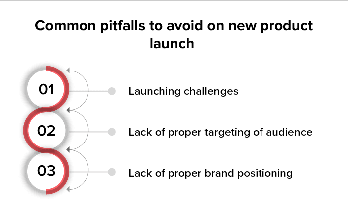 new product launch marketing plan