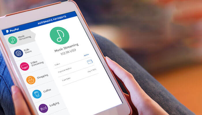 paypal marketing plan