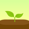 Forest app