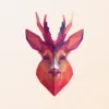 Roebuck App Review