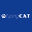TheTypingCat
