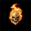 Skulls Live Wallpaper - Wallpapers apps for android