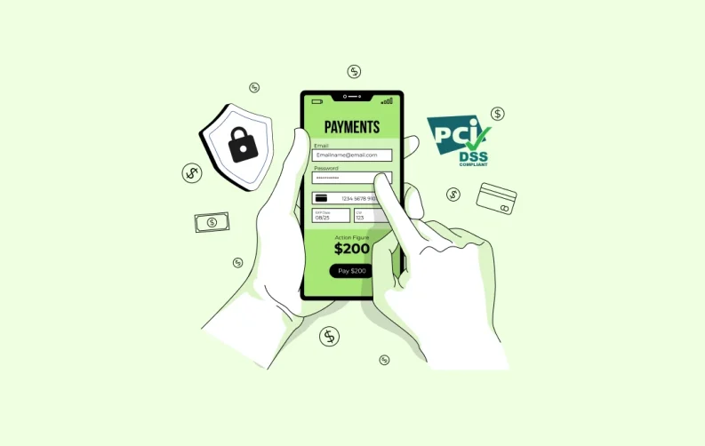 What are PCI DSS Standards