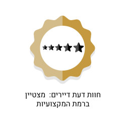 חוזקות יזם תו השקיפות