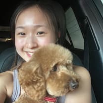 Thumbnail of Sin Pui (Sherry) L.