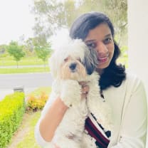 Thumbnail of Vimmy P.