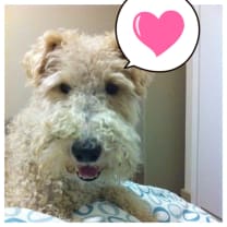 Thumbnail of Jackie S.