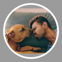 Dog Groomers Melbourne VIC | Mad Paws Dog Groomers Melbourne VIC | Mad Paws