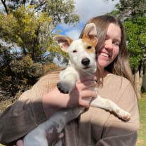 Thumbnail of Briana H.