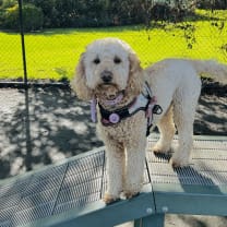 Thumbnail of Kristy D.