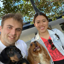 Dog Groomers Melbourne VIC | Mad Paws Dog Groomers Melbourne VIC | Mad Paws