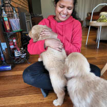 Thumbnail of Kalyani D.