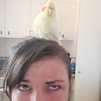 Thumbnail of Alanah C.