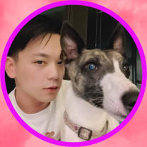 Dog Groomers Melbourne VIC | Mad Paws Dog Groomers Melbourne VIC | Mad Paws