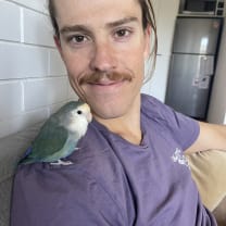 Thumbnail of Sam H.