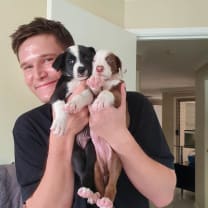 Thumbnail of Jarod P.