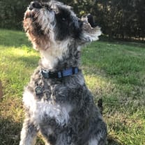 Thumbnail of Ruth A.