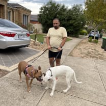 Thumbnail of Hasnian H.