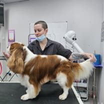 Thumbnail of Sara K.