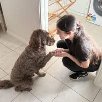 Thumbnail of Karen V.