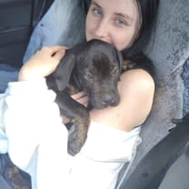 Thumbnail of Crystal J.