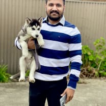 Thumbnail of Alok K.