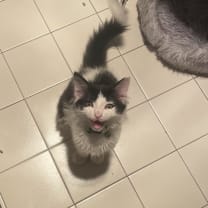 Thumbnail of Charlie S.