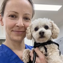 Thumbnail of Sophie P.