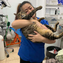 Thumbnail of Samantha T.