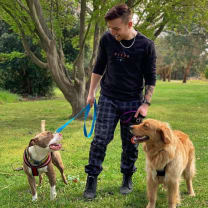 Thumbnail of Luke M.