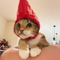 Thumbnail of Ngan M.