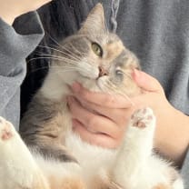 Thumbnail of Chloe C.