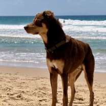 Thumbnail of Elena G.